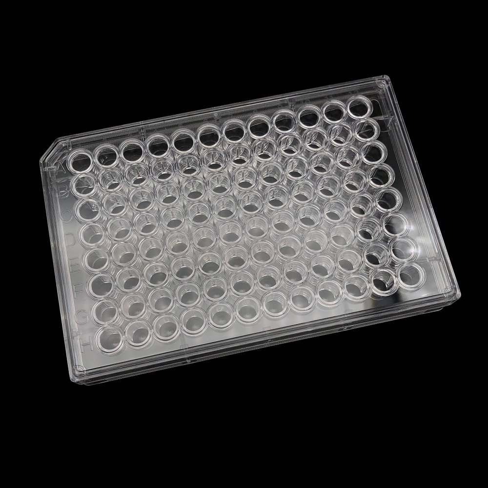 cell culture plate