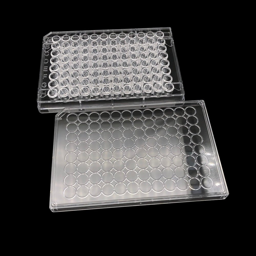 cell culture plate