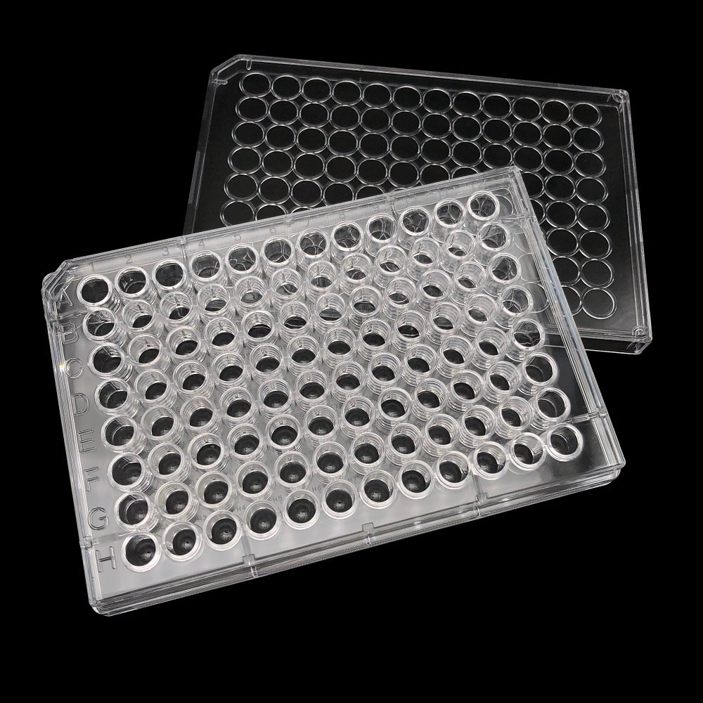 cell culture plate